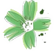 Toque Verde